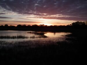 Broads National Park